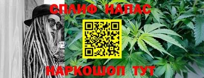 дживик Гатчина